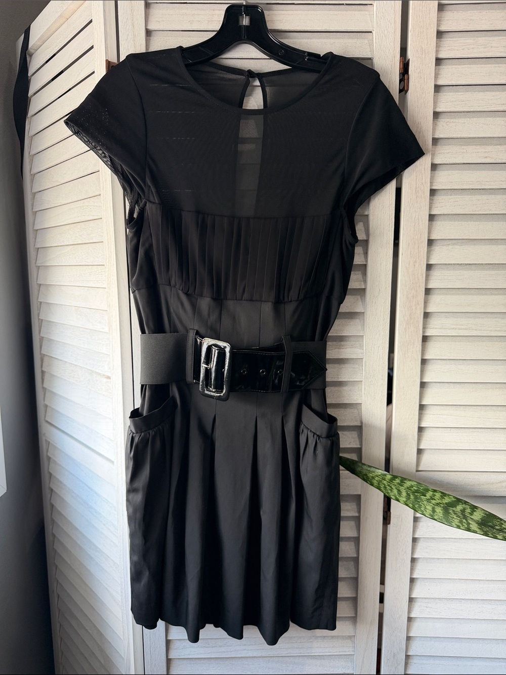Alice + Olivia Devon sheer-back pleated mini dress -some flaws